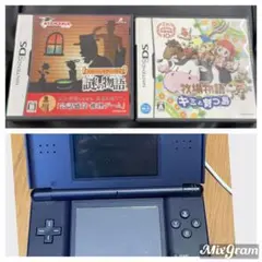 Nintendo DS ネイビー 本体 充電器付き