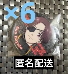 WIND BREAKER ウィンドブレーカー ウィンブレ ラメキラ缶バッジ