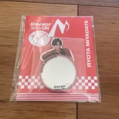 Ｍ*Ｉ様 SnowMan 宮舘涼太　ON ミラーステッカー