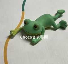 専用