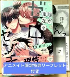 【アニメイト特典リーフレット付き】瞳が重なるゼロセンチ