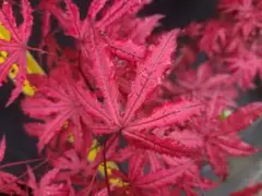 tm様 リクエスト 3点 まとめ商品