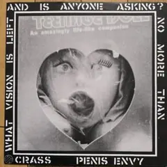 ENVY / From Here to Eternity レコードLP新品未使用 2025年最新】envy レコードの人気アイテム - メルカリ