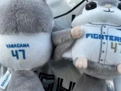 ファイターズ ぬいぐるみくじモモンガ 4等 3等 柳川大晟 - メルカリ