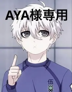 AYA様専用のサムネイル