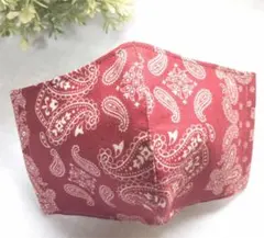 流行ペイズリー　立体フィットインナーマスク　コメントにて50円引きします！