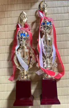 トロフィーセット、箱付き