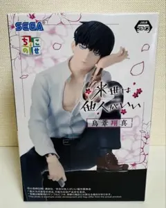 来世は他人がいい ちょこのせ 鳥葦翔真 深山霧島 まとめ売り TV