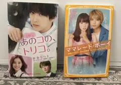 Item thumbnail for item 2e8e1cab-36c3-475f-8222-5ede7931b55b