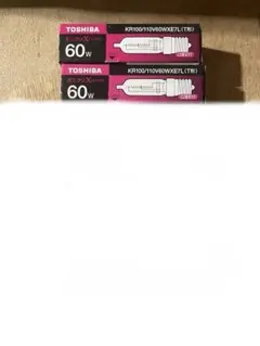 TOSHIBA ミニクリX KR100/110V60WXE7L T型 2個セット