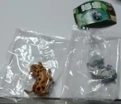 猫虫 ガチャガチャ