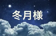 専用出品
