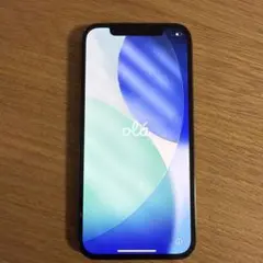 Apple iPhone 12 青色 本体