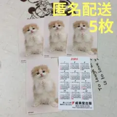 Item thumbnail for item 01689397-e0c5-44c7-99e4-f378fd5d3449