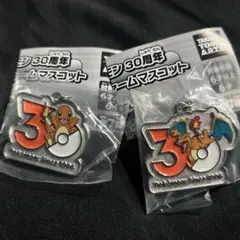 ポケモン 30周年 メタルチャームマスコット