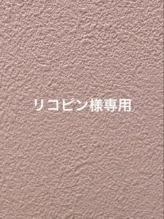 ♡リコピン様専用　サイドビジュー付ウェッジサンダル♡のサムネイル