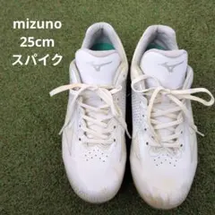 mizuno スパイク 25cm