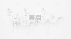 ❤︎ՏᕼIᘔᑌKᑌ❤︎様【専用】1月まで