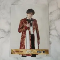 SHOW-WA 向山毅 外せないピンキーリング 生写真 ブロマイド