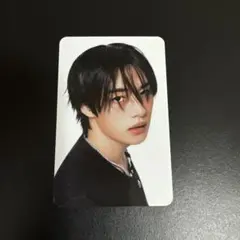 straykids スキズ karma skzoo ver リノ トレカ