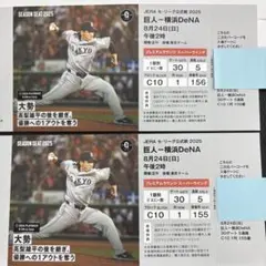 巨人対横浜DeNA8月22日(金)グランドウイングペアチケットビュッフェ付き 巨人対横浜DeNA8月22日(金)グランドウイングペアチケット