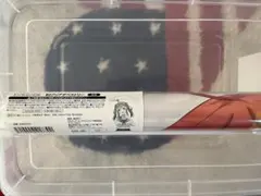 Item thumbnail for item 6f76f446-d02a-4bb2-935f-f5956668c5f9