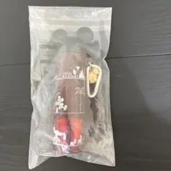 東京ディズニーリゾート限定 スーベニア ポップコーントング