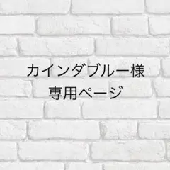 カインダブルー様専用ページ