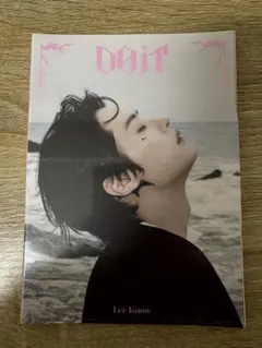 straykids スキズ リノ アコーディオン アルバム DO IT