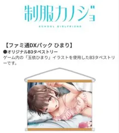 藤嶌果歩 日向坂46 ひな図書 アクリルアートパネル 魔法少女まどか
