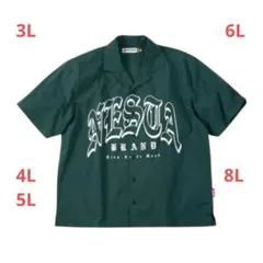 NESTA BRAND オープンカラー 半袖シャツ icnのサムネイル