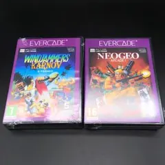 NeoGeo Arcade 1 Windjammers Evercade