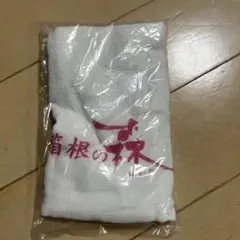 フェイスタオル　箱根