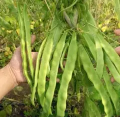 keer様 リクエスト 3点 まとめ商品