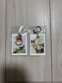 harmoeライブグッズ