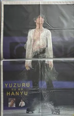 羽生結弦 2019.3.25 世界選手権 埼玉 デイリースポーツ - メルカリ