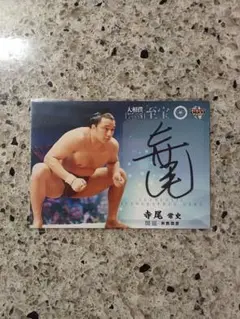 BBM 2015 大相撲 至宝　寺尾常史　直筆サインカード　/90 BBM 2015 大相撲 至宝 寺尾常史 直筆サインカード /90 2025年