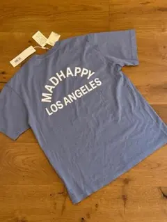 新品•限定品ヴィンテージ】 Boat House 水色 Tシャツ VAN - メルカリ