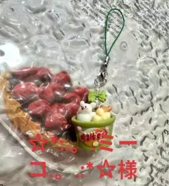 ☆*:.。.ミーコ.。.:*☆様　専用