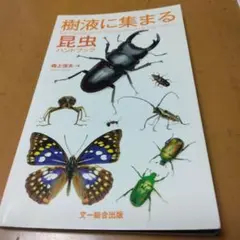 樹液に集まる昆虫ハンドブック