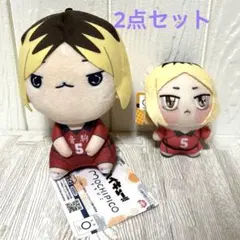 2025年最新】ちょぴぬいぷちの人気アイテム - メルカリ