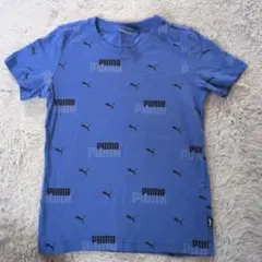PUMA 青 Tシャツ 140