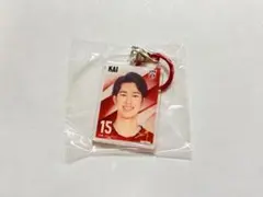 バレーボール男子日本代表 めじるしチャーム 甲斐優斗 写真ver.