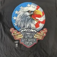 90's ハーレーダビッドソン usa製　シングルステッチ