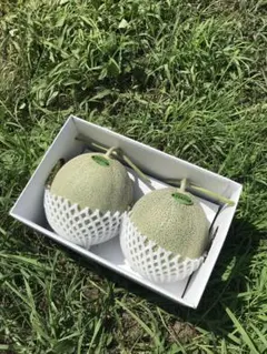 クーちゃん様専用