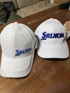 Item thumbnail for item 68fc9f00-2fd6-4334-a6c8-19b2a0b8880d