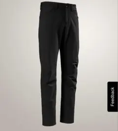 ARC'TERYX Levon Pant Men's 34 美品　登山のサムネイル