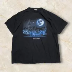 00S カナダ 狼 野生 アニマル アート US古着 Tシャツ メンズ XXL