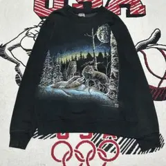 【希少】90s fruit of the room スウェットUSA製60s