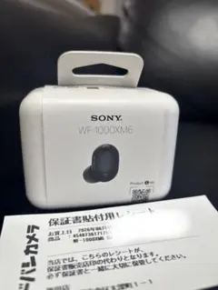 WF-1000XM6 Questyle イヤーチップ 保護ケースセット - メルカリ